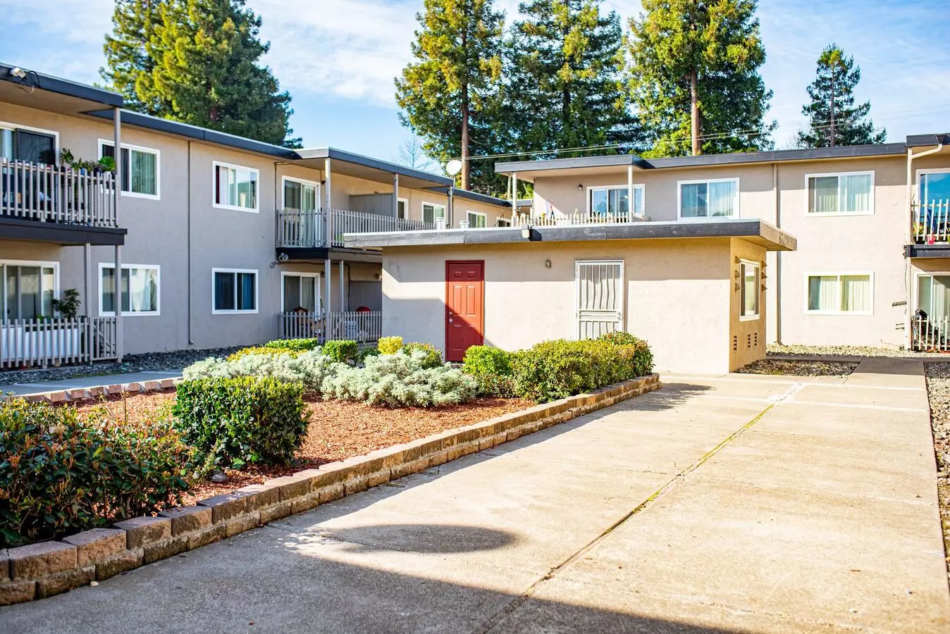 AMADOR ROYALE photo 4