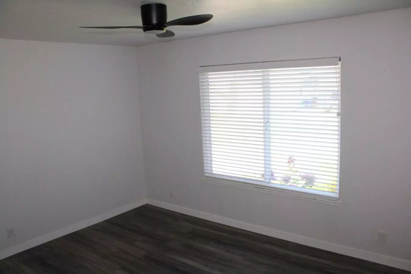 130 Aster Ct photo 5