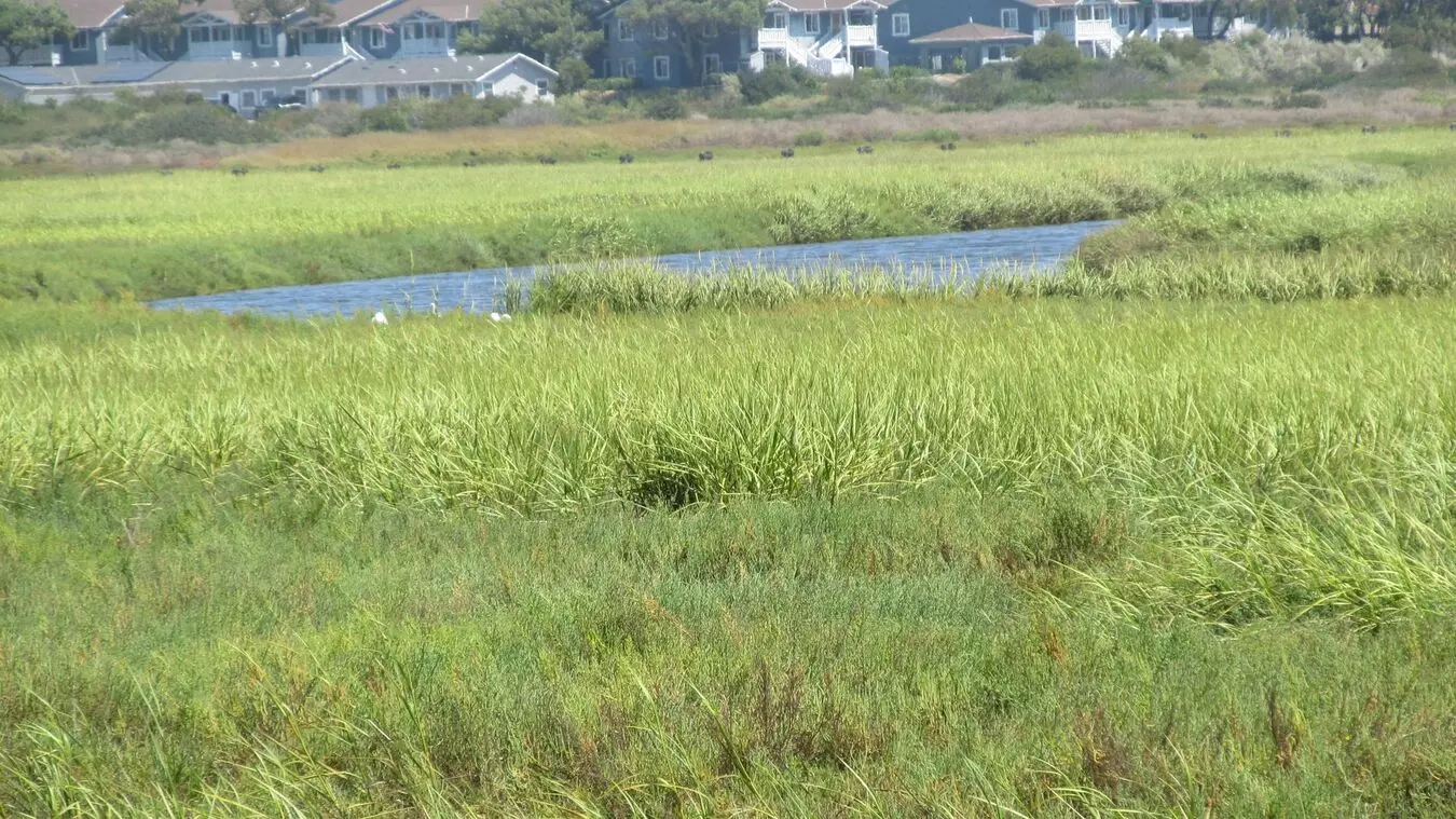 1111 Seacoast 50, Imperial Beach, CA 91932 photo 5