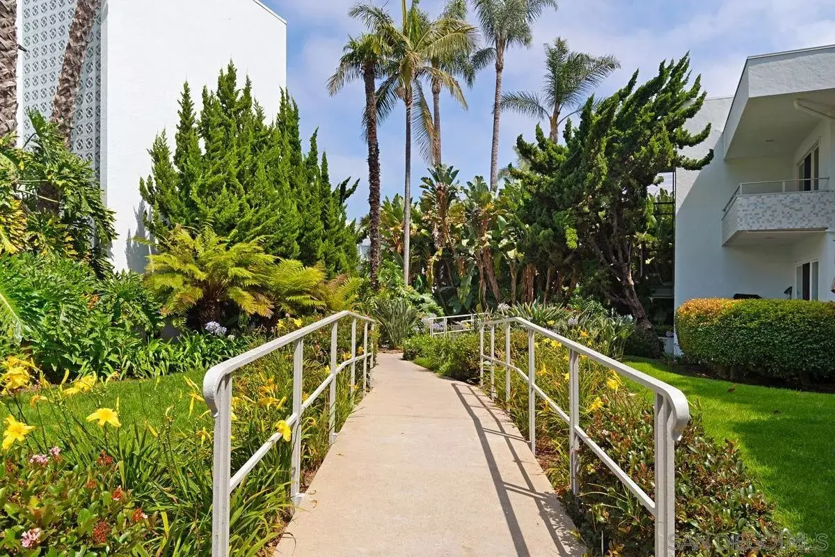2368 Torrey Pines Road, #59 - 59 photo 4