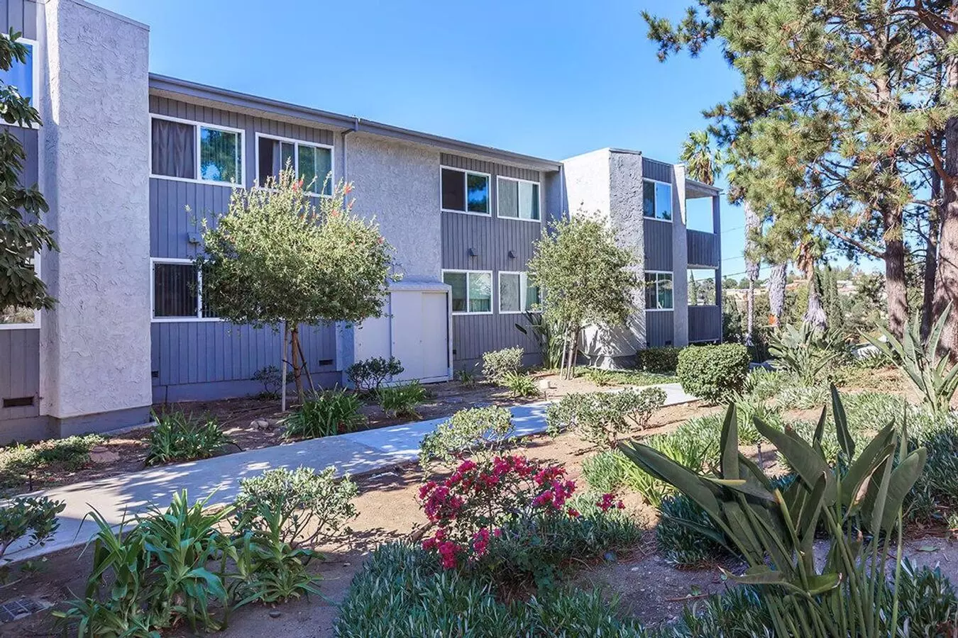Grossmont Bluffs photo 4