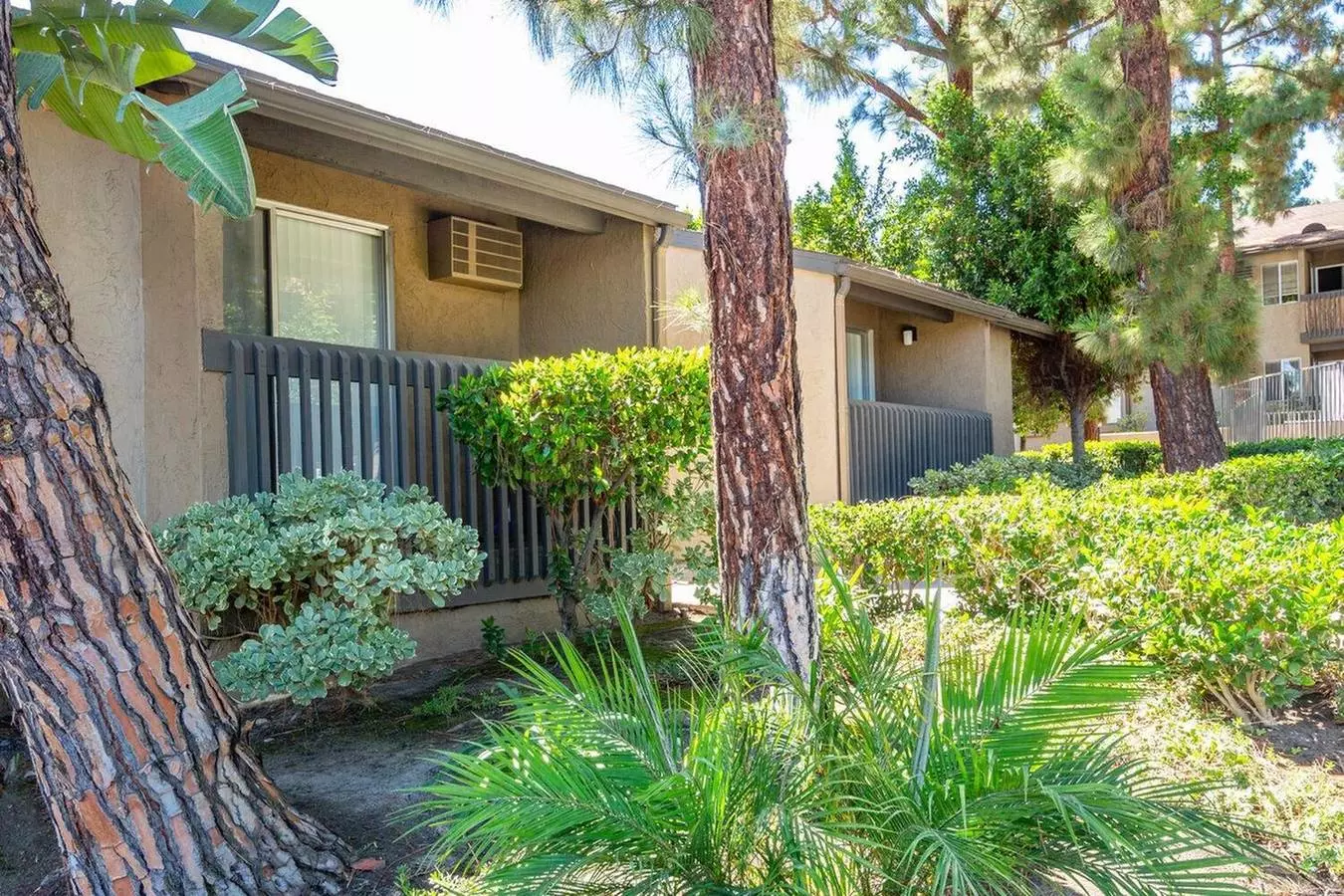 Elan Mesa Lofts photo 3