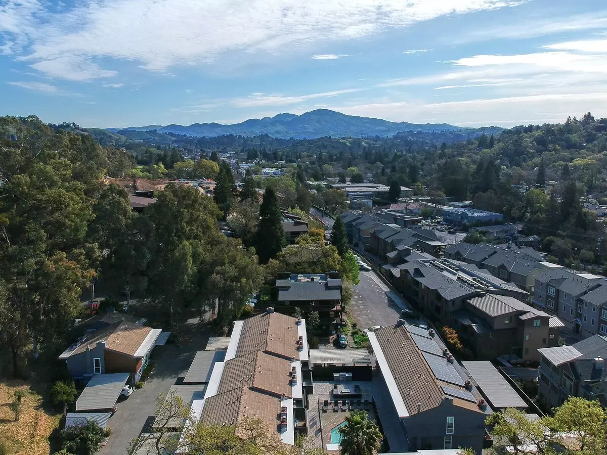 Ladera photo 4