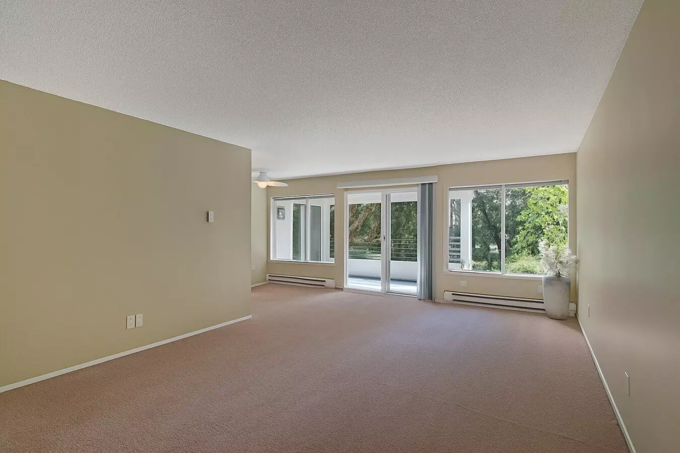 Watercrest photo 5