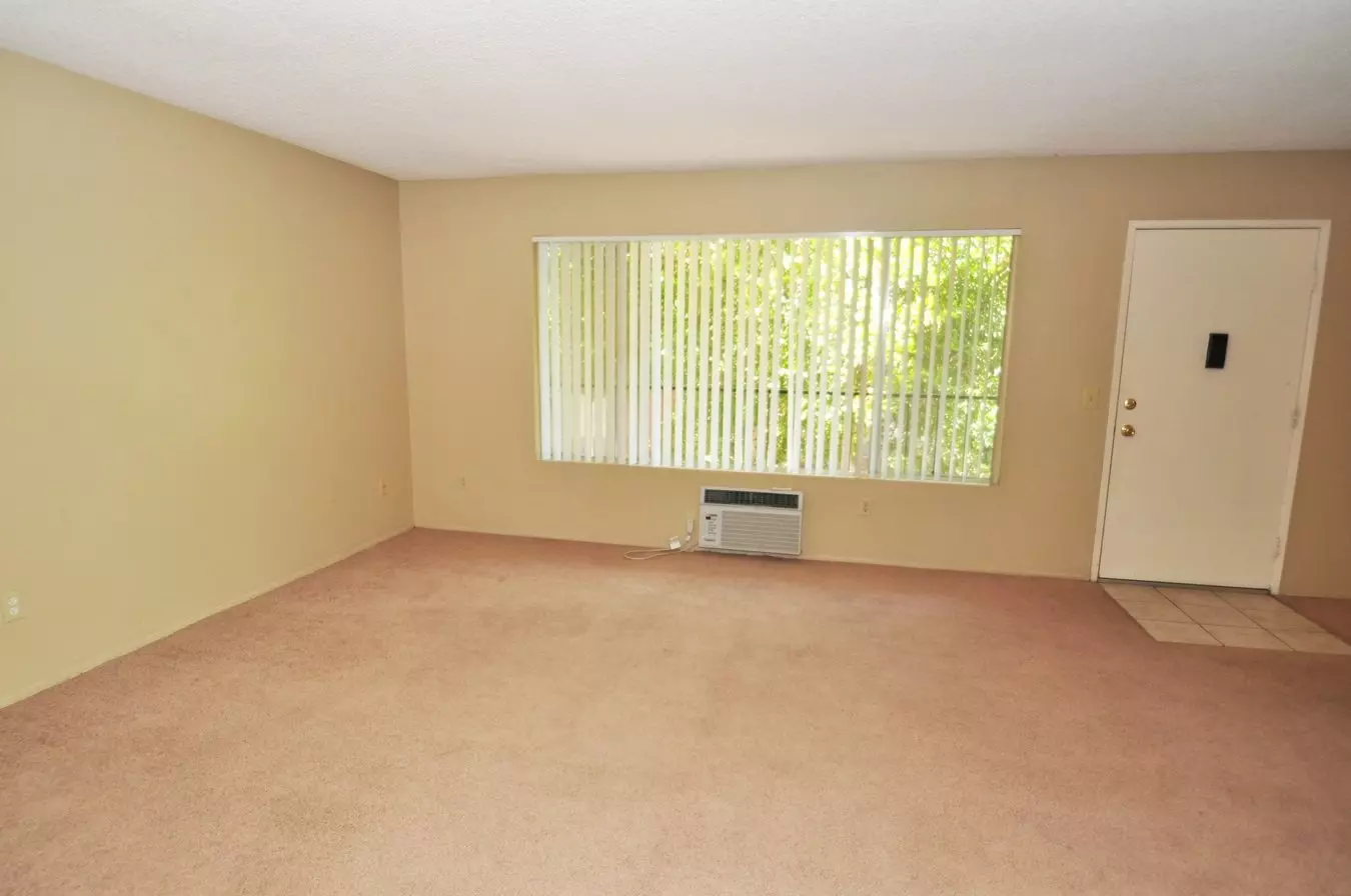 Ashwood Apartments photo 5