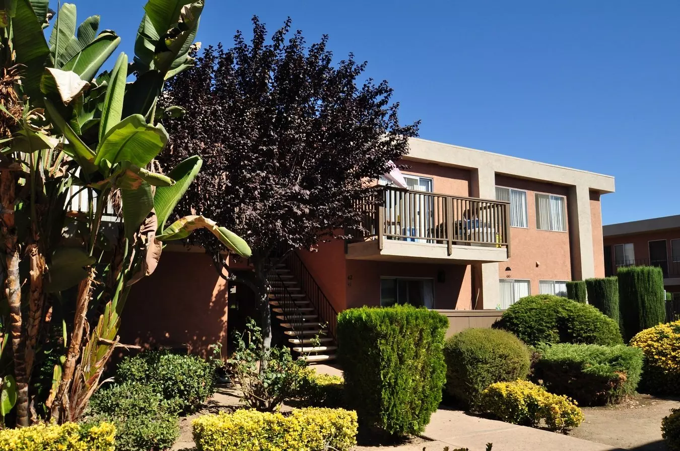 Ashwood Apartments photo 3