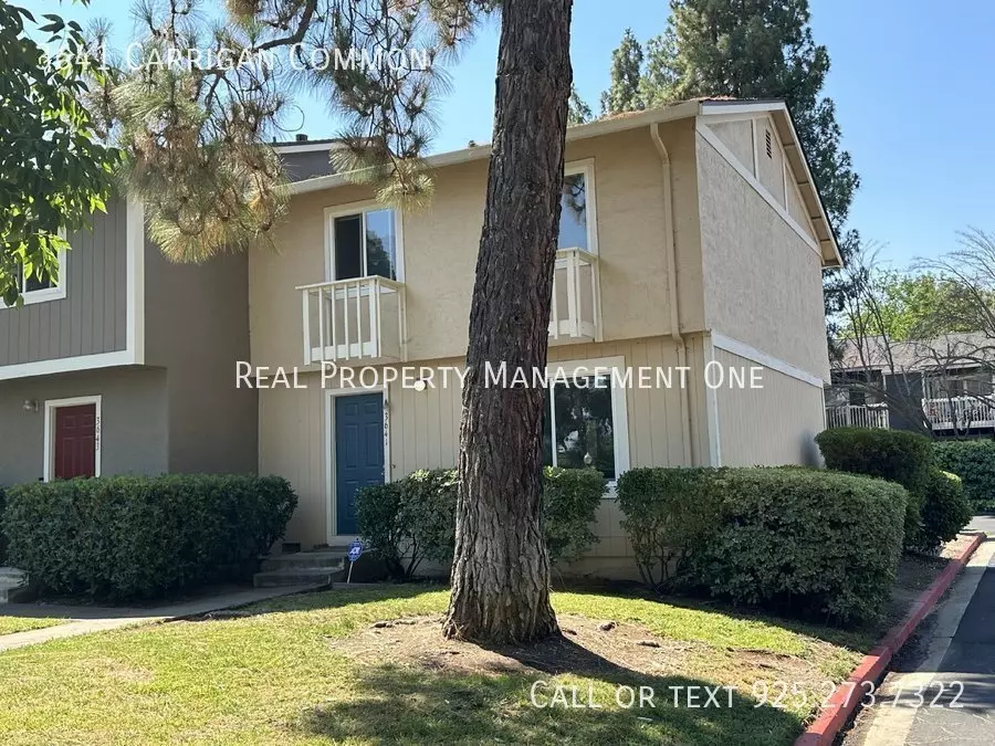 3641 Carrigan Cmn photo 5
