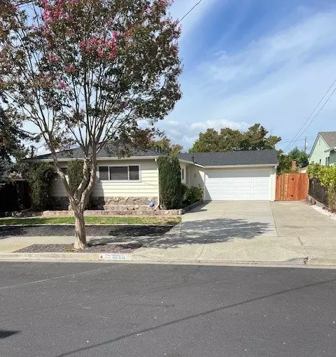 265 Clarke Ave photo 4
