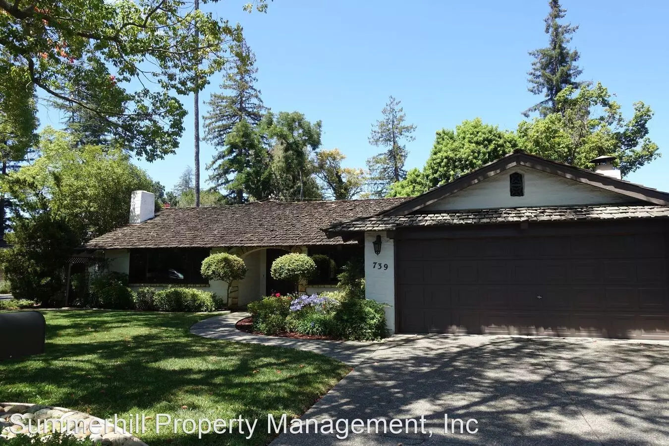 739 Alvina Ct. photo 4