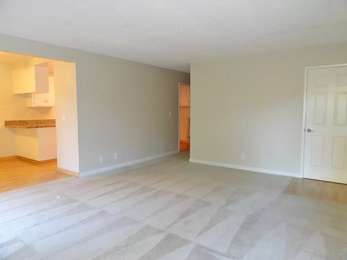 647 Vasona Avenue, Los Gatos, CA 95032 photo 2