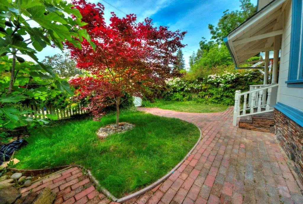 642 Palmer Ln photo 5