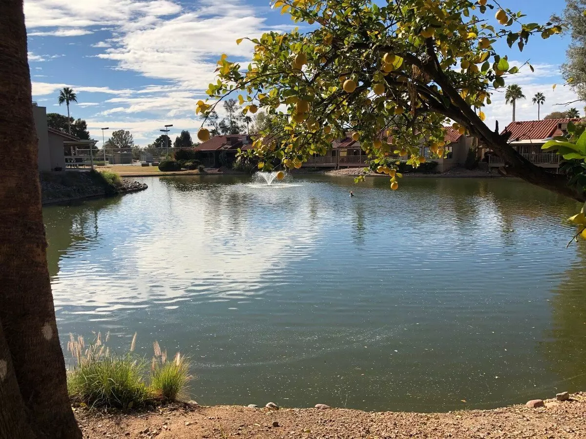 678 Leisure World, Mesa, AZ 85206 photo 3