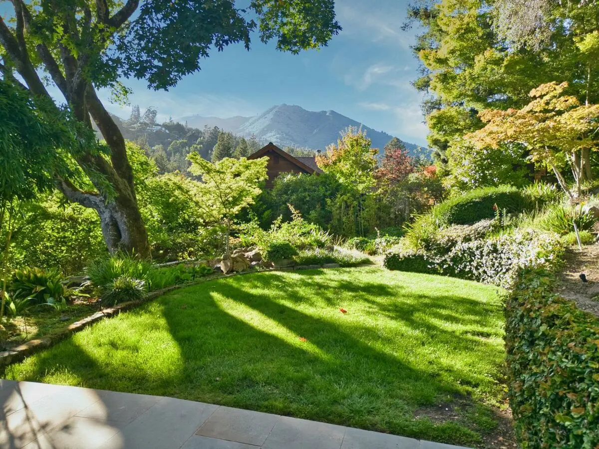 Historic Marin Home In The Heart Of Mill Valley photo 5