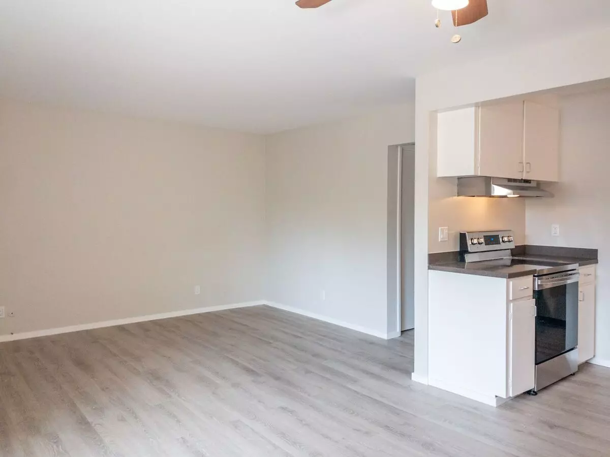 11 S Knoll Rd #11, Mill Valley (Apartment) photo 3