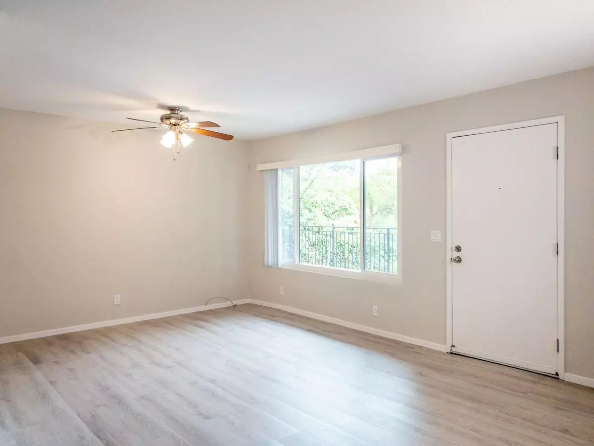 11 S Knoll Rd #11, Mill Valley (Apartment) photo 4