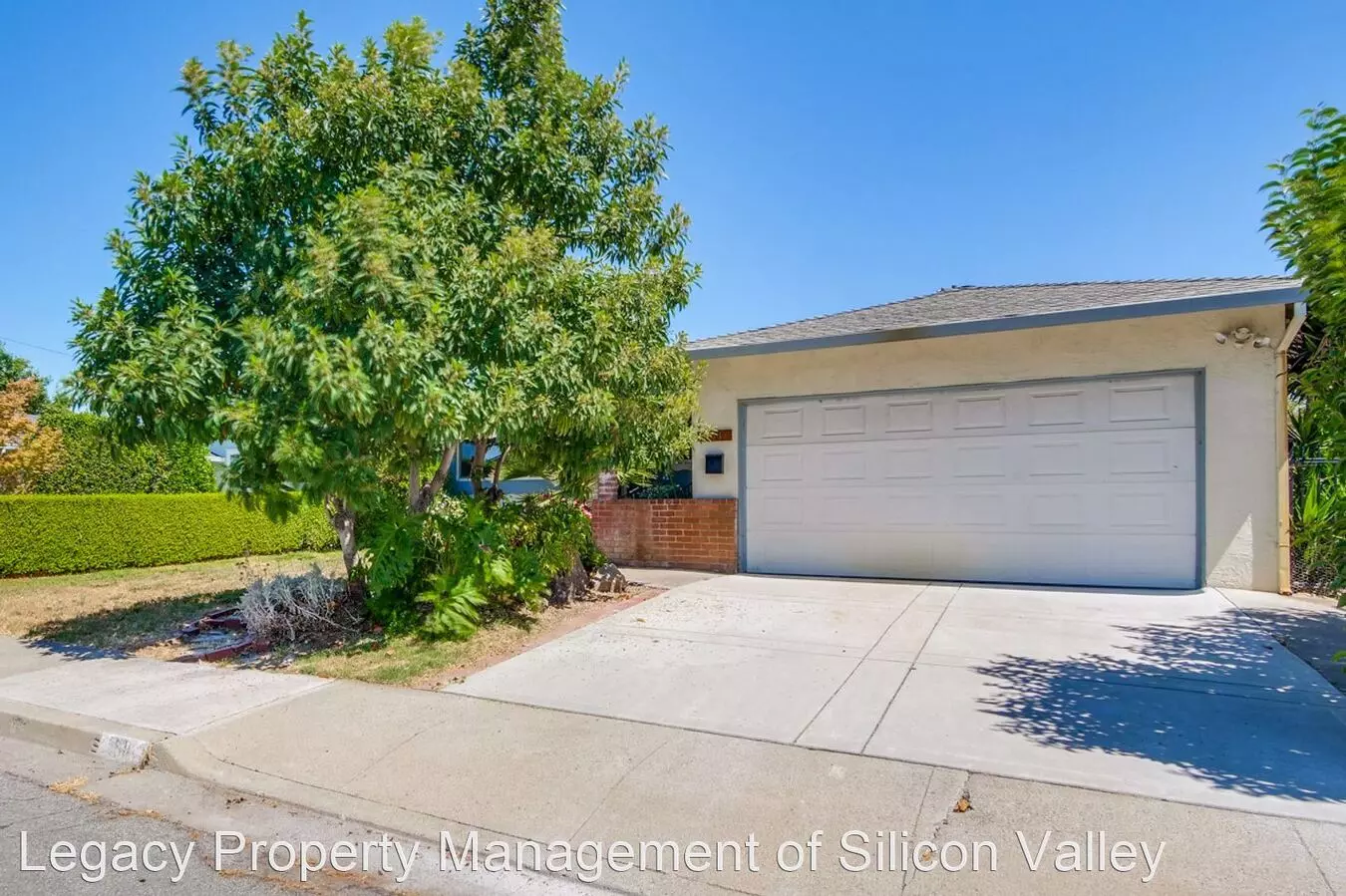 511 Walnut Drive, Milpitas, CA 95035 photo 5