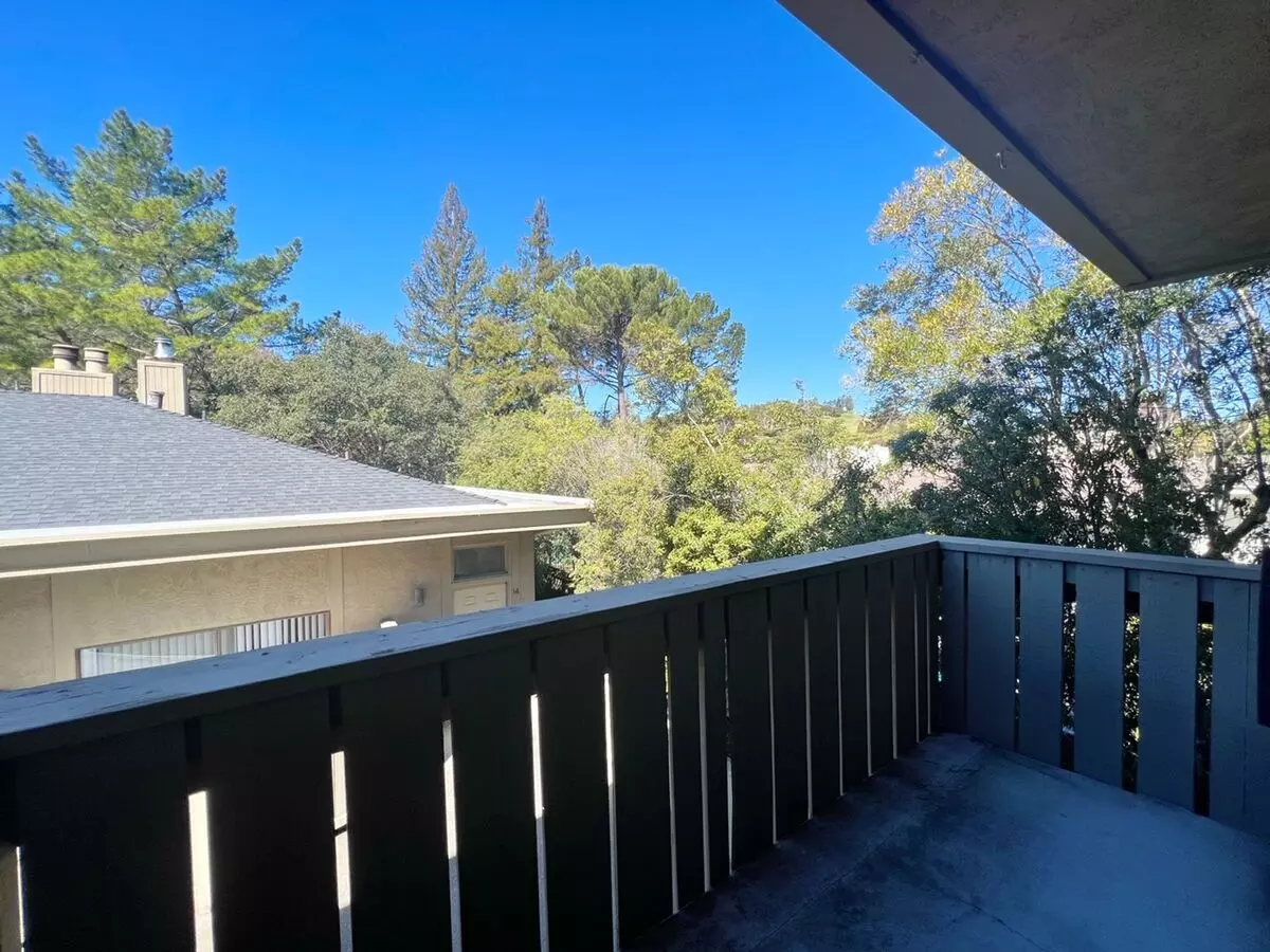 Moraga Road photo 2