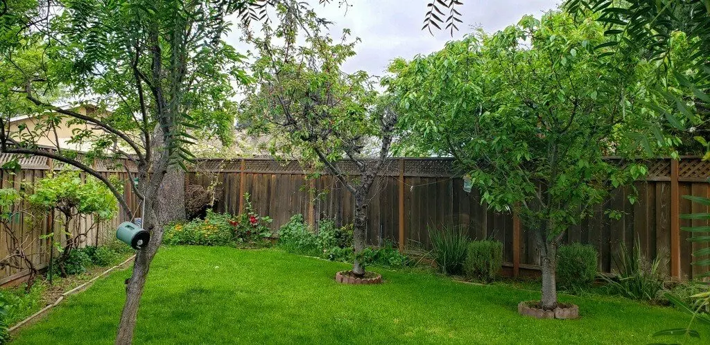 1465 Daffodil Court, Morgan Hill, CA 95037 photo 5