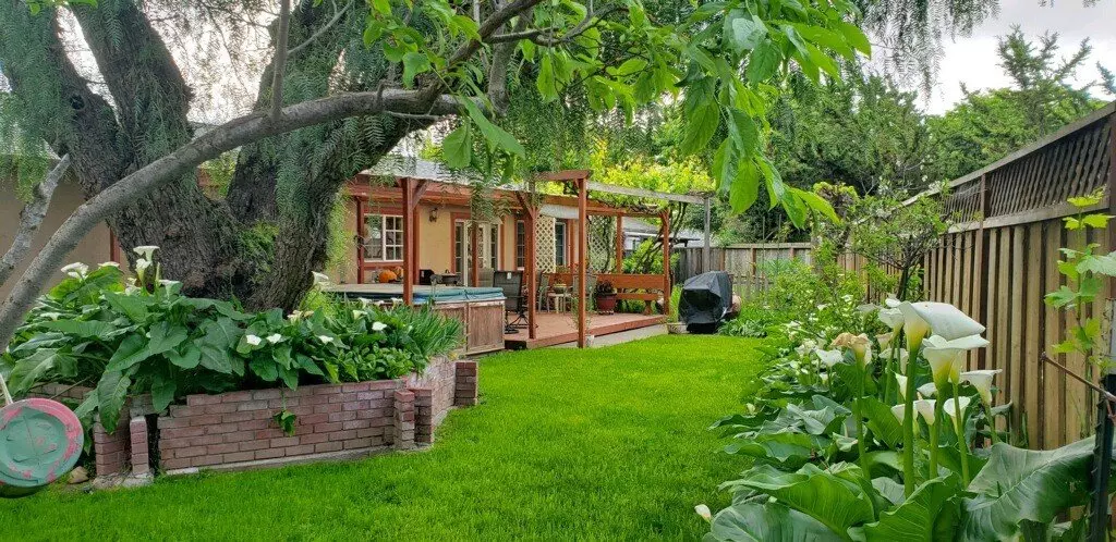 1465 Daffodil Court, Morgan Hill, CA 95037 photo 4
