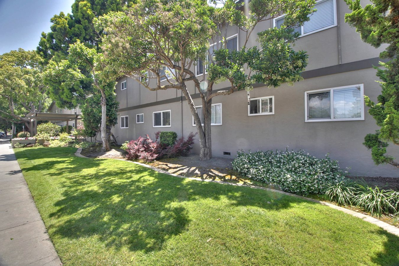 55 Evandale photo 3