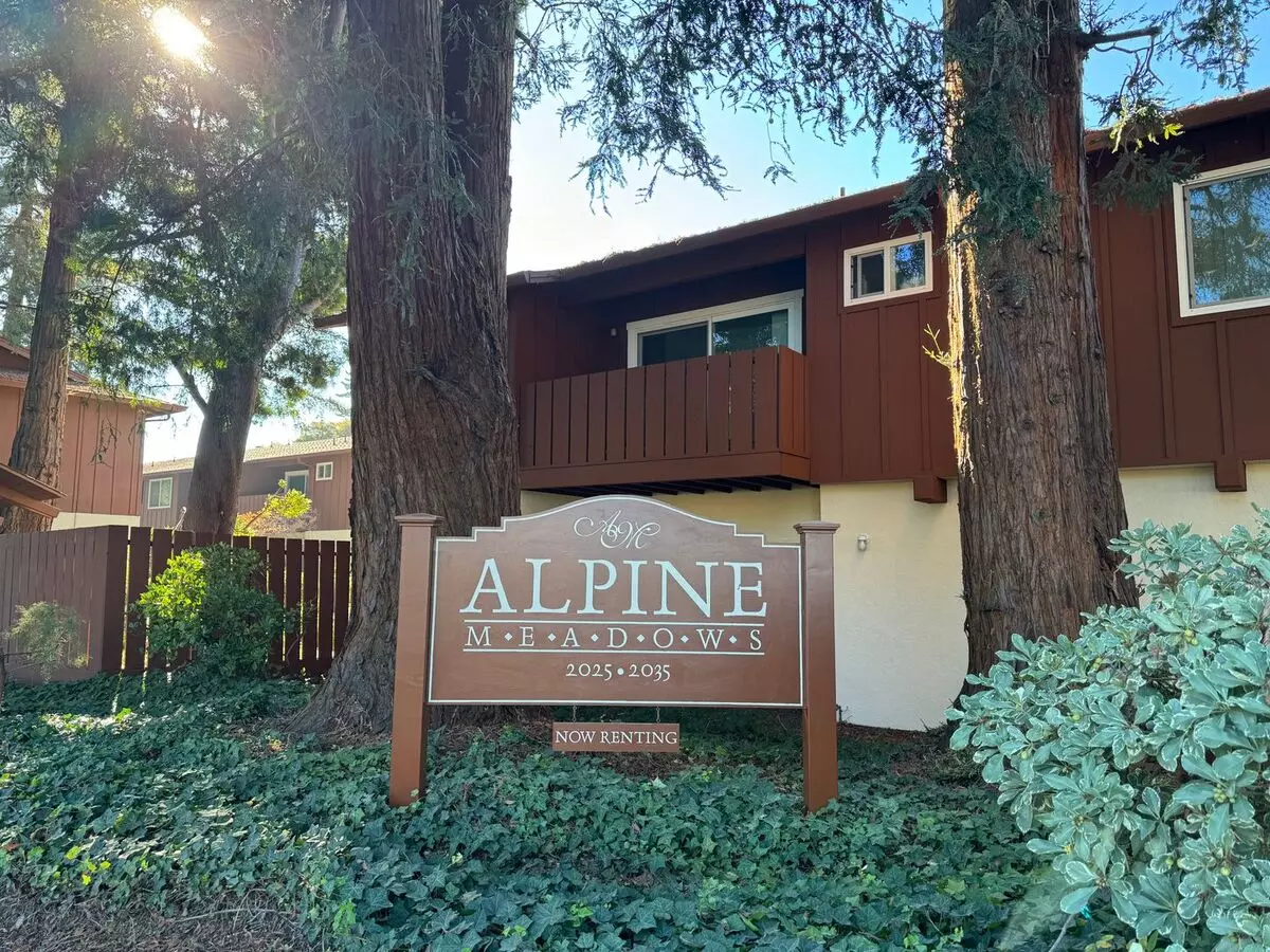 Alpine Meadows photo 4