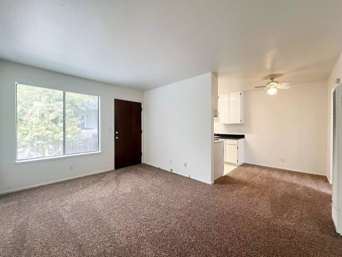 Bridgeview Apartments photo 4