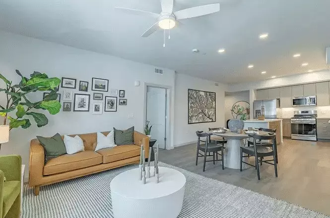 SOCO Apartments photo 2