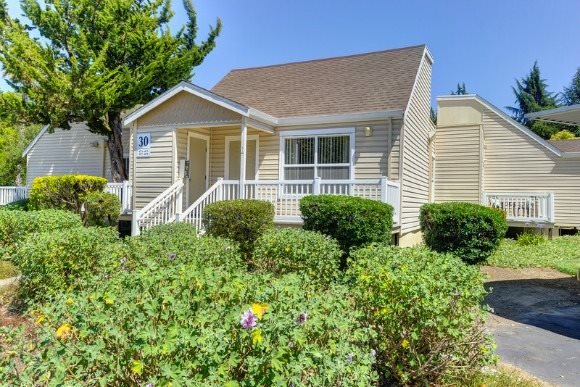 Vineyard Terrace Apartments photo 5