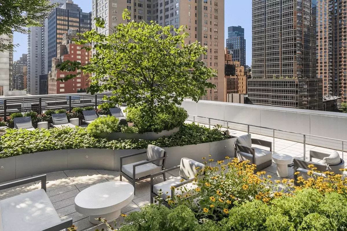 ***large Private Terrace*** photo 5