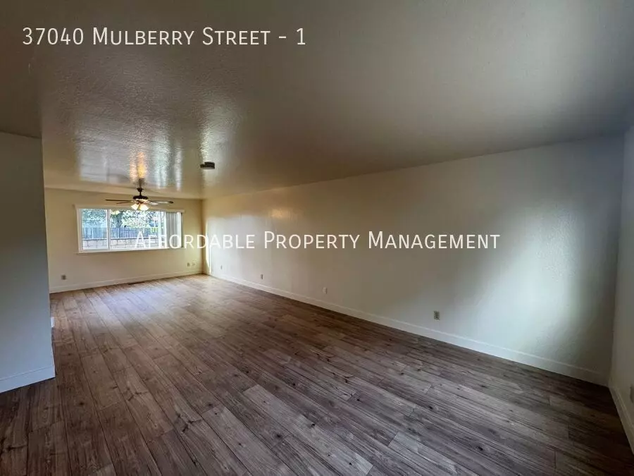 37040 Mulberry Street, Newark, CA 94560 photo 5