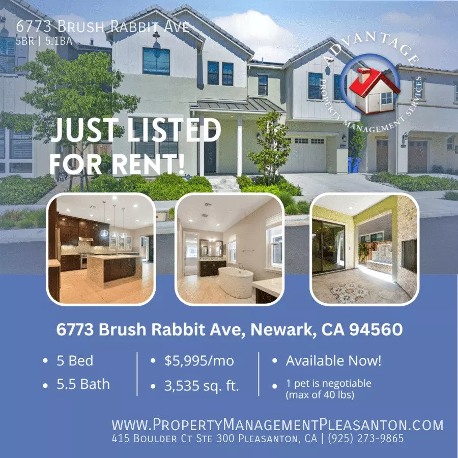 6773 Brush Rabbit Avenue, Newark, CA 94560 photo 2