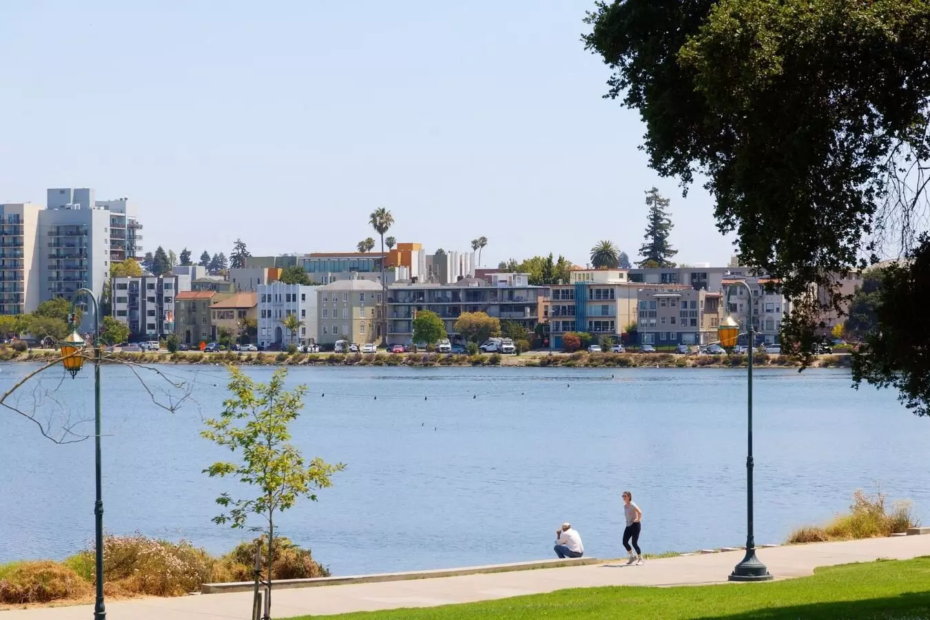 Lakeshore Gardens photo 3