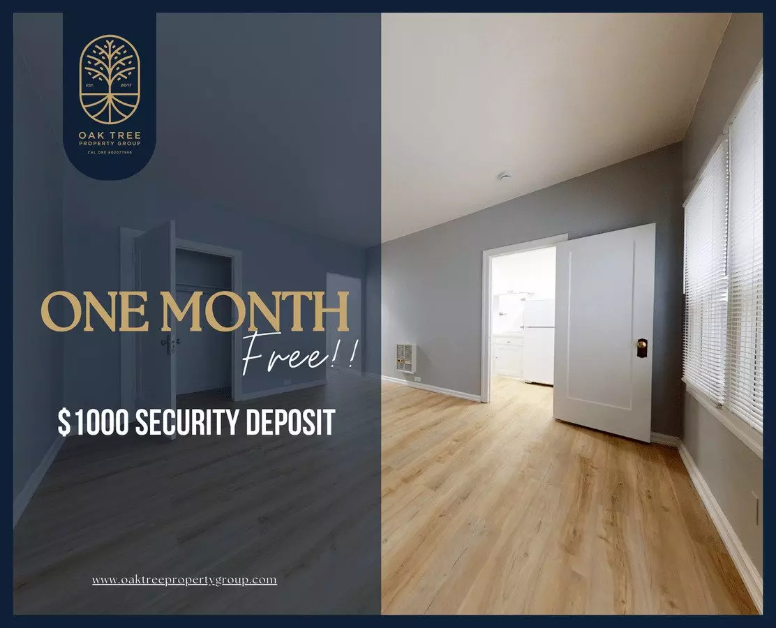 Third Avenue Apartments photo 5