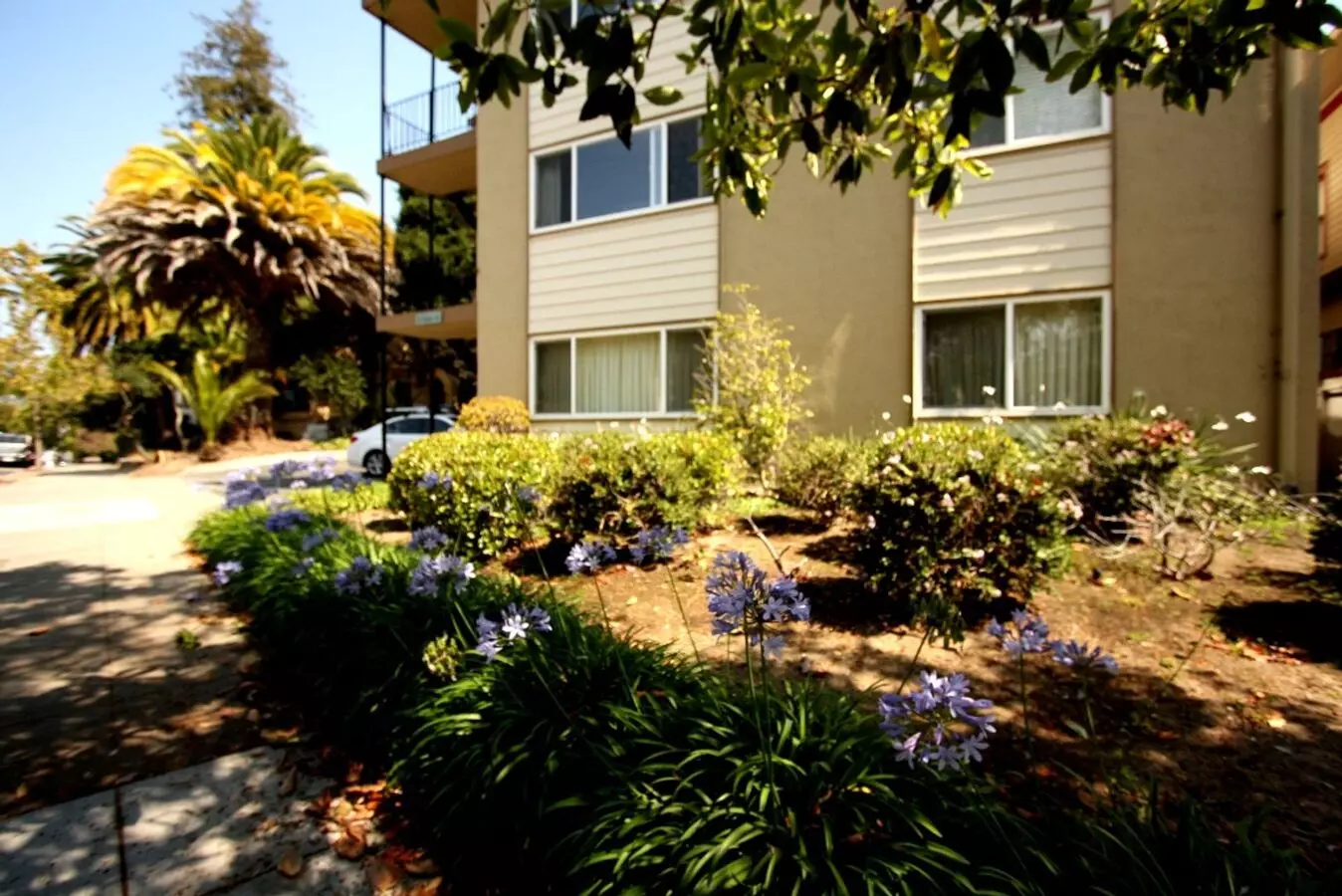 1p122 - Oakland Avenue - Hua photo 4