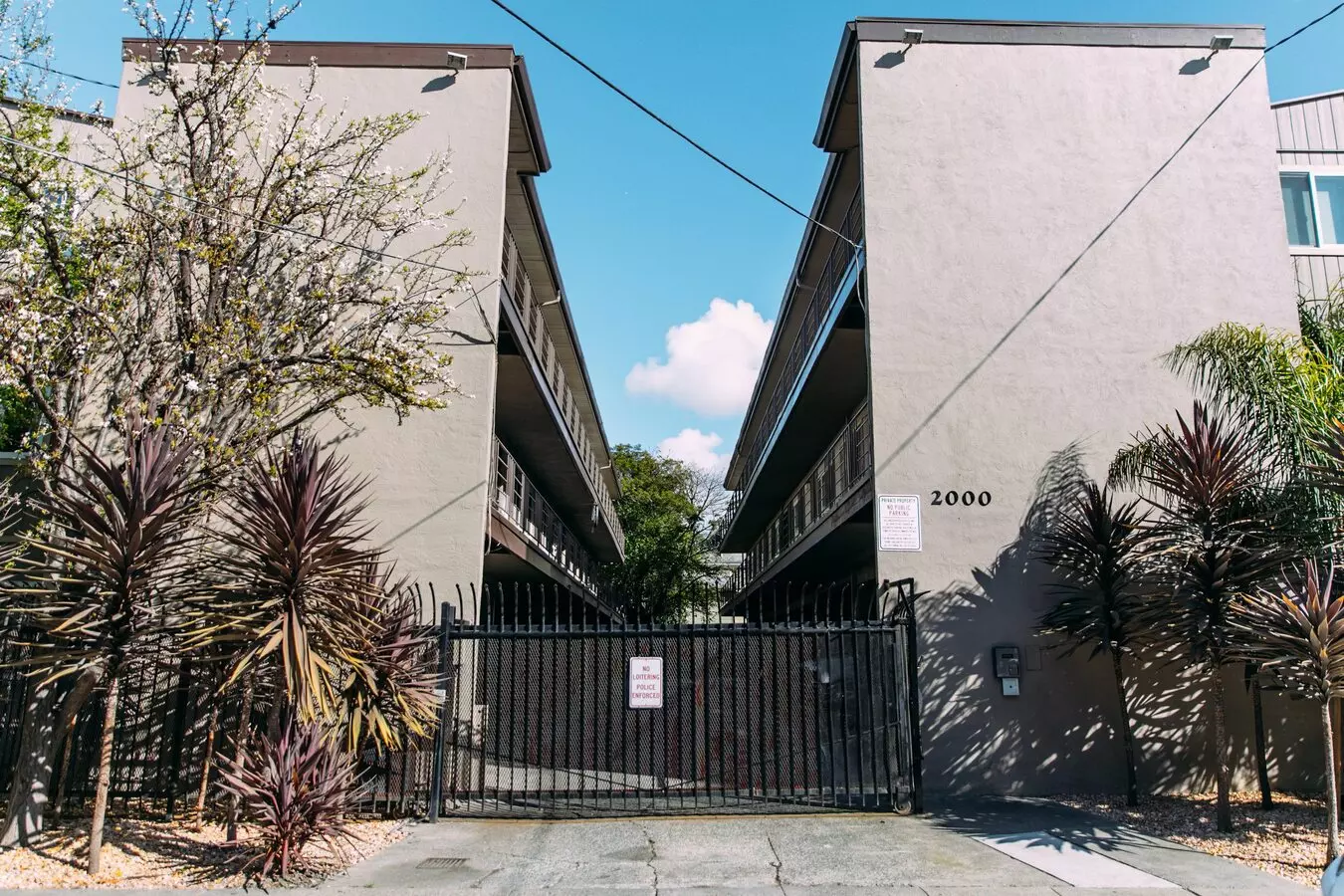Linden Haus photo 4