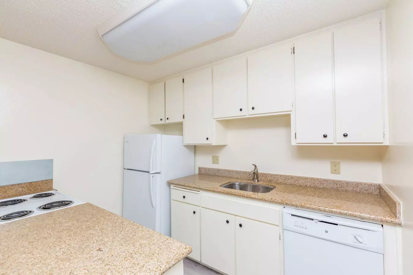 257 VERNON Apartments photo 2