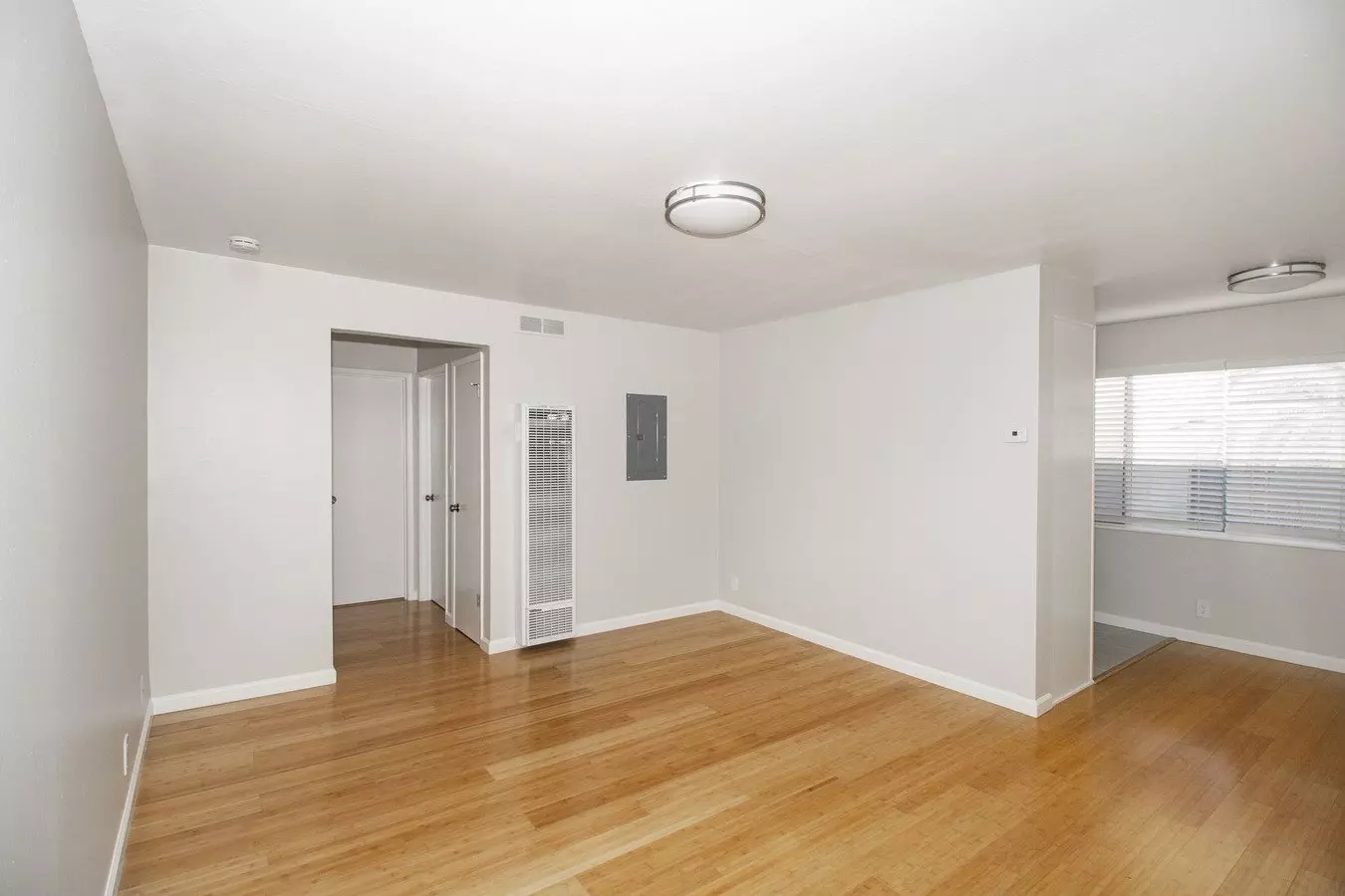 429 BELLEVUE Apartments photo 3
