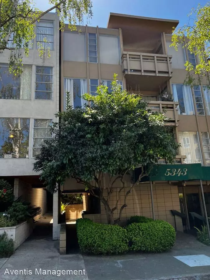 5343 Broadway Terrace, Oakland, CA 94618 photo 4