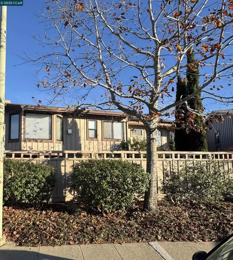 87 Starview Drive, Oakland, CA 94618 photo 2