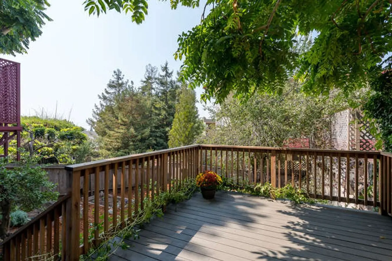 Beautiful 1Bed Piedmont Avenue Gem!
