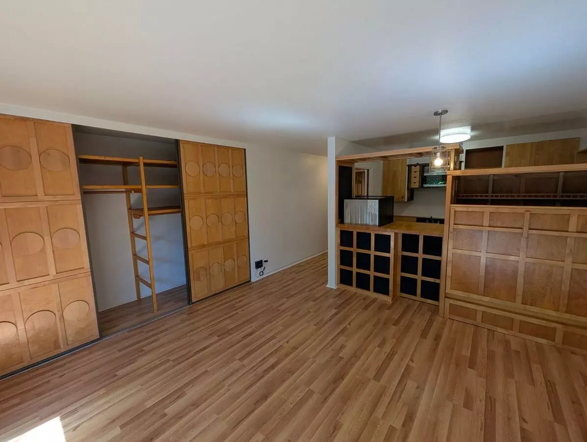 425 Orange Street #311 photo 2