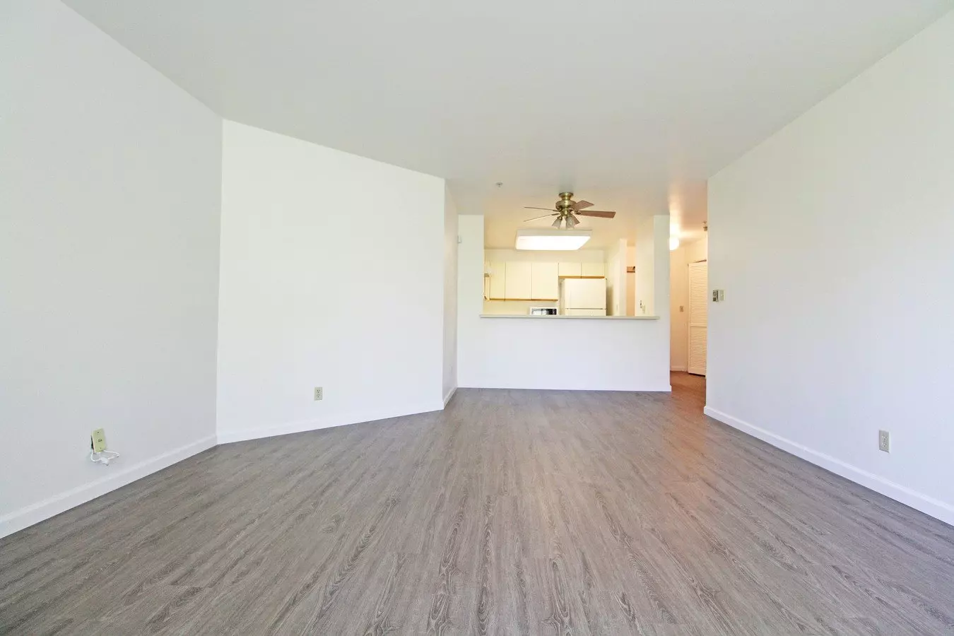 Spacious Adam's Point Condo Available Now! photo 3
