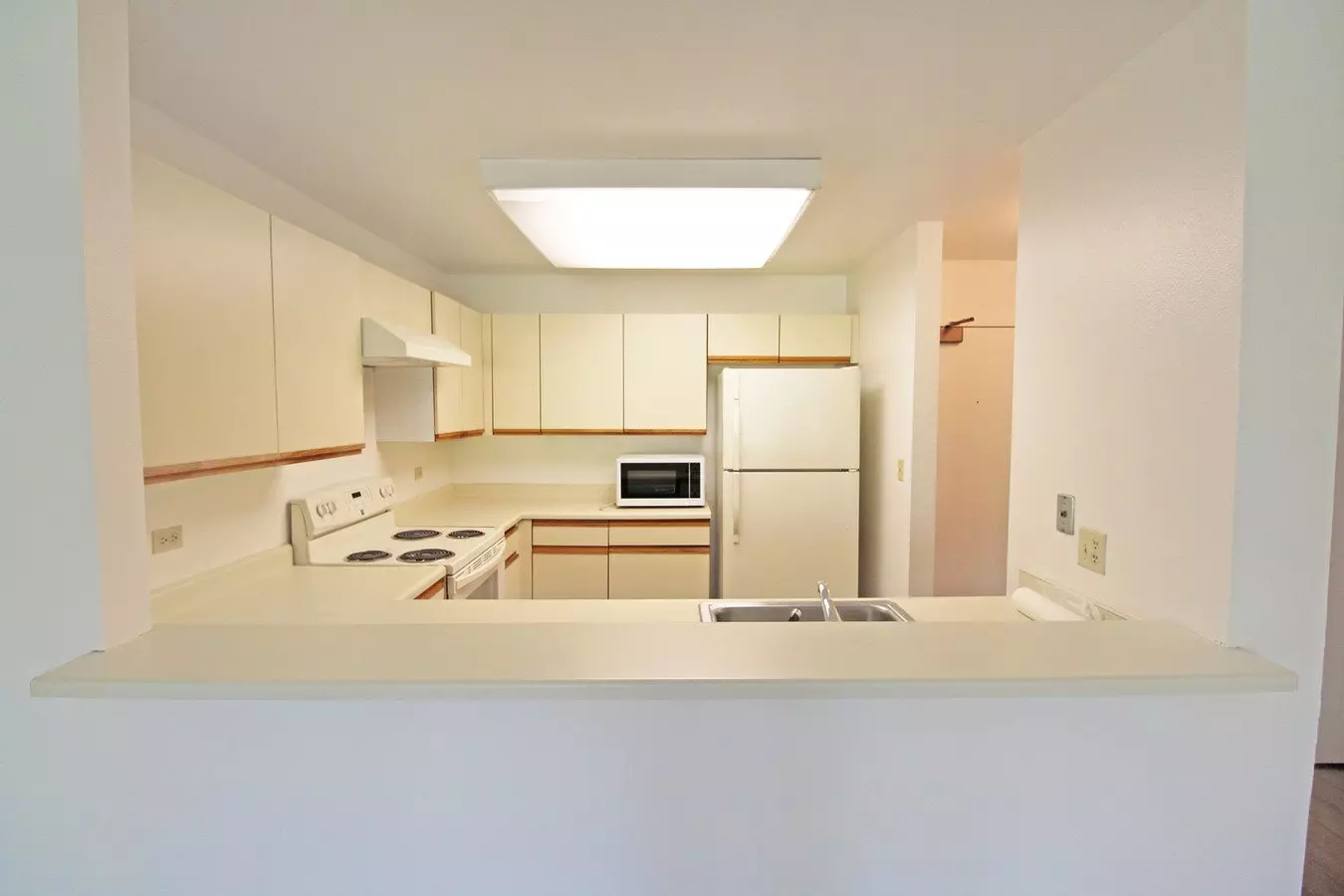 Spacious Adam's Point Condo Available Now! photo 4