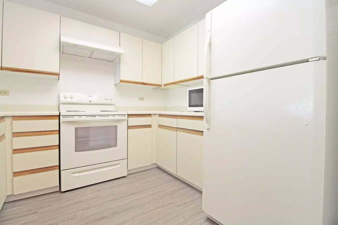 Spacious Adam's Point Condo Available Now! photo 5