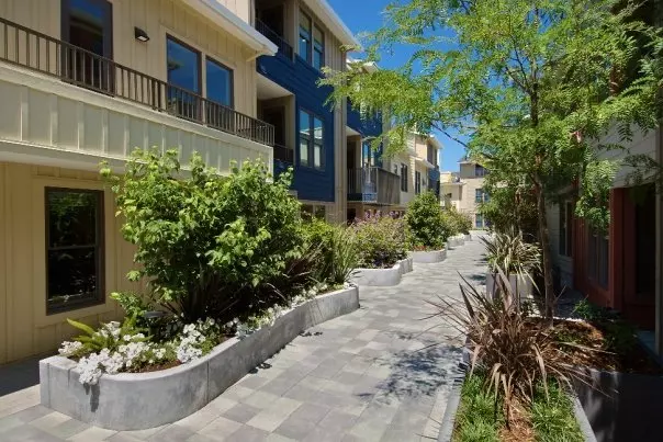 813 Altaire Walks, Palo Alto, CA 94303 photo 2