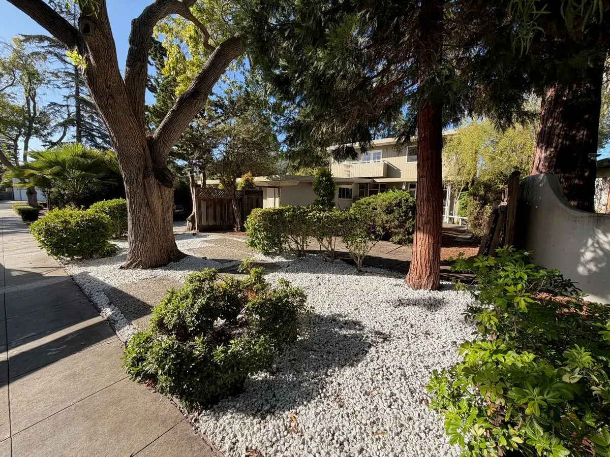3630 Lupine Ave photo 3