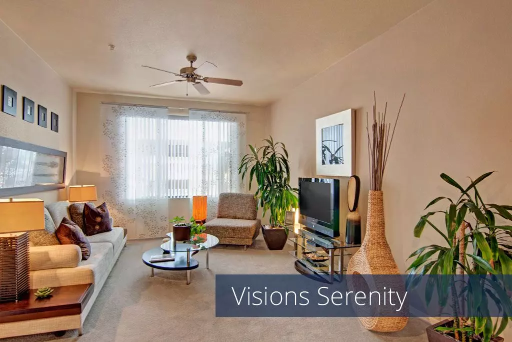 Visions photo 4
