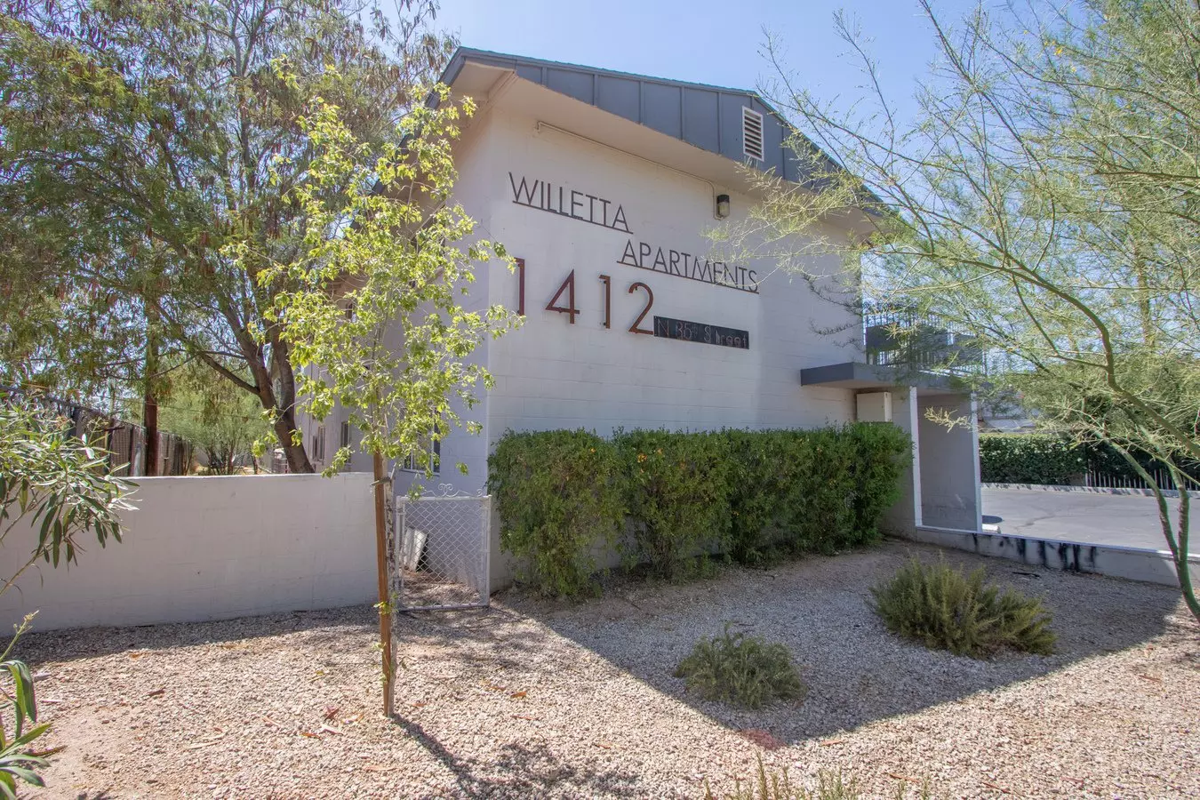 Willetta photo 4
