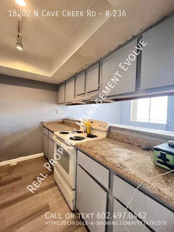 18202 North Cave Creek Road, Phoenix, AZ 85032 photo 2