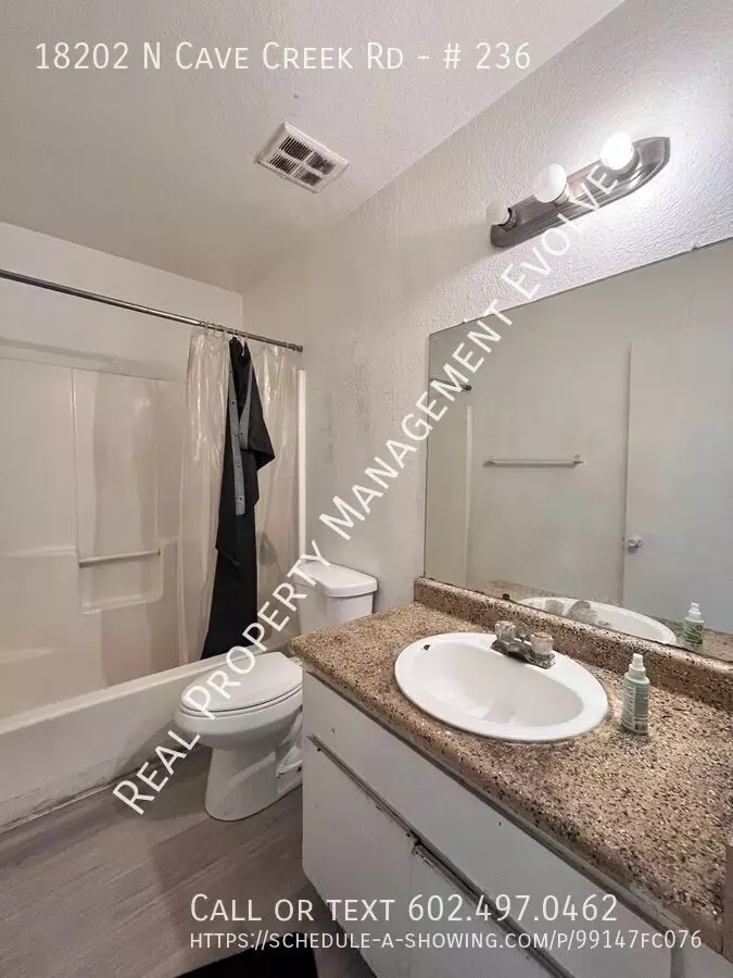 18202 North Cave Creek Road, Phoenix, AZ 85032 photo 5